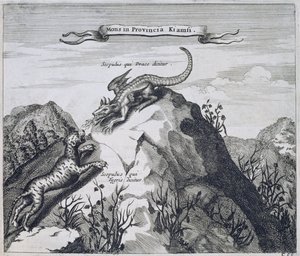 Ein Berg in der Provinz Jiangxi mit Felsen, bekannt als der Drache und der Tiger, aus China illustriert von Athanasius Kircher (1601-80) 1667