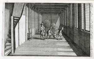Bäume für den Sommer in den Garten bringen, aus De Nederlandze Hesperides von Jan Commelin, veröffentlicht 1676 von Dutch School