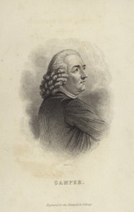 Petrus Camper von Dutch School