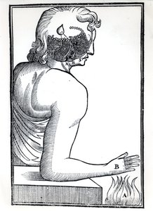 Die Wahrnehmung der Sinne, aus De Homine Figuris von René Descartes (1596-1650) veröffentlicht in Amsterdam, 1677