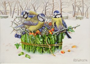 Blaumeisen im Blätternest, 1996 von E.B. Watts