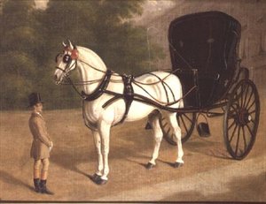 Ein graues Pferd und Cabriolet mit Kutscher