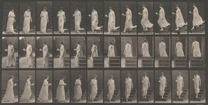 Tierlokomotion. Eine elektro-fotografische Untersuchung... der Tierbewegungen. Beginn... von Eadweard Muybridge