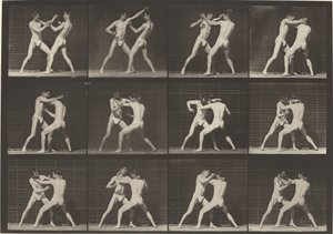 Tafel Nummer 340. Boxen, offene Handschuhe, 1887 von Eadweard Muybridge