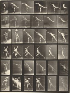 Tafel Nummer 523. A: Einen Schlag ausführen. B, E: Diskus werfen. C, F: Einen 75-Pfund-Stein heben..., 1887 von Eadweard Muybridge