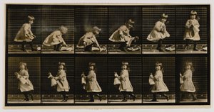 Kind hebt eine Puppe, dreht sich um und geht weg, aus dem Buch Animal Locomotion von Eadweard Muybridge