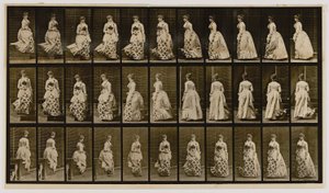 Treppen hinabsteigend und sich drehend, aus dem Buch Tierbewegung von Eadweard Muybridge