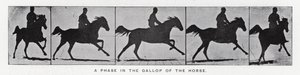 Eadweard Muybridge: Eine Phase im Galopp des Pferdes (s/w Foto)