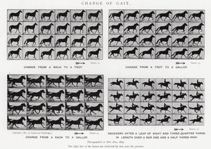 Gangwechsel von Eadweard Muybridge