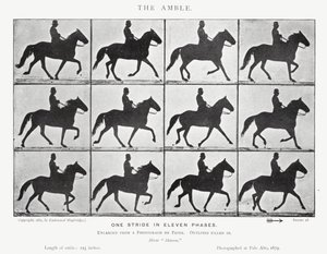 Eadweard Muybridge: Der Passgang von Eadweard Muybridge