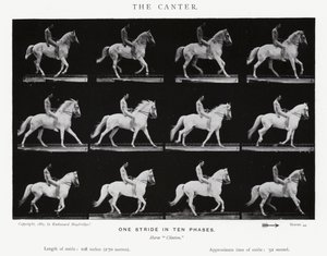 Eadweard Muybridge: Der Kanter (s/w Foto) von Eadweard Muybridge