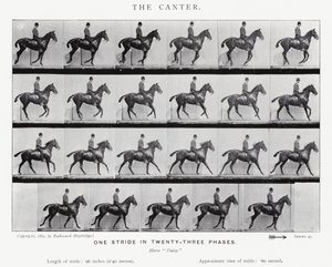 Eadweard Muybridge: Der Kanter von Eadweard Muybridge