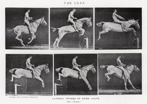 Der Sprung von Eadweard Muybridge
