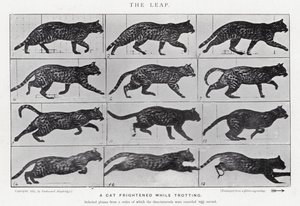 Eadweard Muybridge: Der Sprung (s/w Foto)