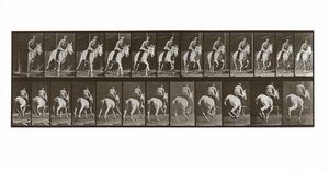 Galoppierendes Pferd mit Reiter, Platte 635 aus Animal Locomotion von Eadweard Muybridge