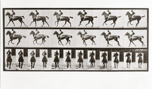 Pferd und Reiter, Platte 621 aus Animal Locomotion von Eadweard Muybridge