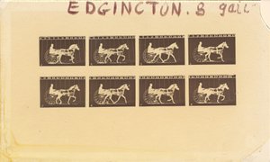 Internegativ für Pferde. Trabend. Abe Edgington. Nr. 28