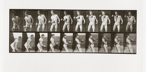 Mann hebt eine Hantel, Tafel 324 aus Animal Locomotion, 1887 von Eadweard Muybridge
