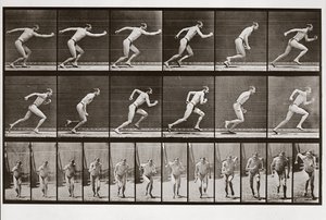 Mann läuft, Tafel 59 aus Animal Locomotion, 1887