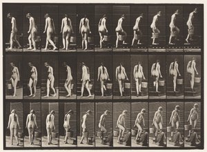 Tafel 102. Treppensteigen, Eimer Wasser in der rechten Hand von Eadweard Muybridge