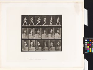 Tafel 10. Gehen
