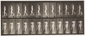 Tafel 115. Abwärtsneigung mit vor der Brust verschränkten Händen von Eadweard Muybridge