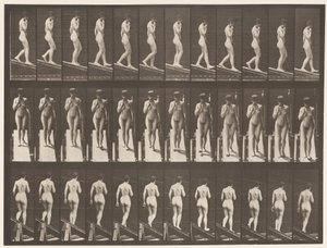 Tafel 116. Steigung hinabsteigen, eine Hand am Kinn von Eadweard Muybridge