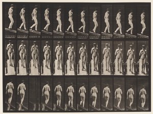 Tafel 119. Steigung hinabsteigen, rechte Hand auf Brust (Schuhe) von Eadweard Muybridge