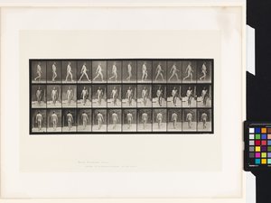 Tafel 11. Gehen