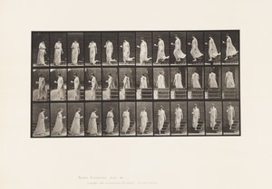 Tafel 143. Abwärtsgehen, Tasse und Untertasse in der rechten Hand drehend von Eadweard Muybridge