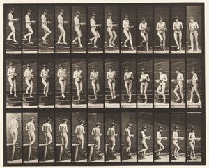 Tafel 144. Treppen hinabsteigen; Becken in den Händen drehend von Eadweard Muybridge