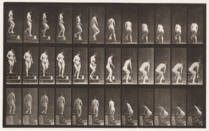Tafel 149. Treppenabstieg; sich bücken, um einen Krug zu heben von Eadweard Muybridge