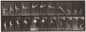 Tafel 164. Springen; Stabhochsprung von Eadweard Muybridge