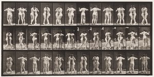 Tafel 196. Walzer tanzen, zwei Modelle von Eadweard Muybridge