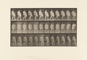 Platte 19. Gehen, Beginn der Drehung von Eadweard Muybridge