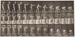 Tafel 201. 12-Pfund-Korb vom Kopf nehmen, auf den Boden stellen, 1872-1885 von Eadweard Muybridge