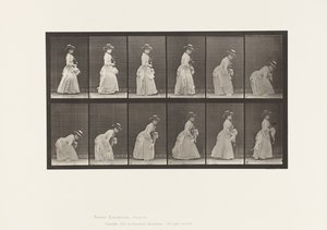 Bücken und Taschentuch heben; Sonnenschirm in der linken Hand von Eadweard Muybridge