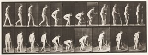 Tafel 219. Bücken und Besen heben und kehren von Eadweard Muybridge