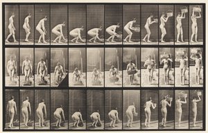 Tafel 221. Bücken und 12 Pfund Korb auf den Kopf heben von Eadweard Muybridge