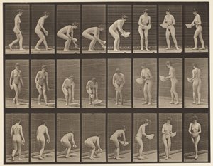 Tafel 223. Bücken und Becken heben, abwischen und drehen, 1872-1885 von Eadweard Muybridge
