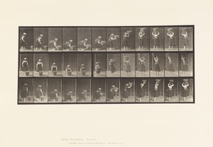 Tafel 230. Heben eines 30-Pfund-Korbs vom Boden auf den Kopf, Drehung, 1885 von Eadweard Muybridge