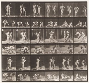Tafel 245. Zwei Modelle drehen sich auf dem Boden sitzend um von Eadweard Muybridge