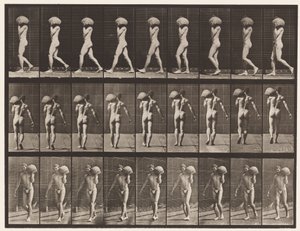 Tafel 26. Gehen, 75-Pfund-Stein auf der linken Schulter tragen von Eadweard Muybridge