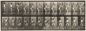 Tafel 293. Cricket; Schlagen; Rückwärtsschnitt, 1885