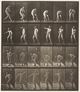 Tafel 302. Einen Ball aufheben und werfen, 1885 von Eadweard Muybridge