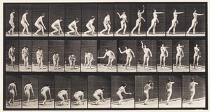 Tafel 303. Einen Ball aufheben und werfen, 1872-1885 von Eadweard Muybridge