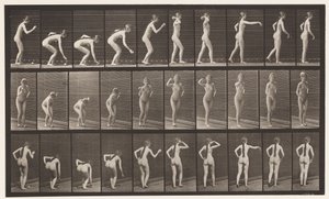 Tafel 304. Einen Ball aufheben und werfen von Eadweard Muybridge