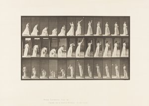 Tafel 305. Einen Ball aufheben und werfen von Eadweard Muybridge