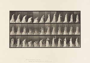 Einen Ball aufheben und werfen von Eadweard Muybridge
