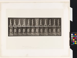 Tafel 30. Gehen, Eimer Wasser in jeder Hand tragend von Eadweard Muybridge